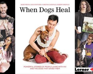 When Dogs Heal Image