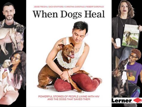 When Dogs Heal Image