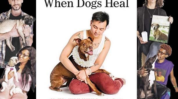 When Dogs Heal Image