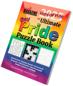Gay Puzzle Book Cover Image