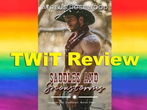 Saddles And Snowstorms Feature Image
