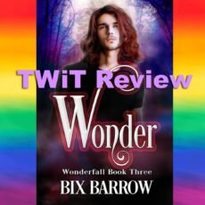 Wonder Feature Image