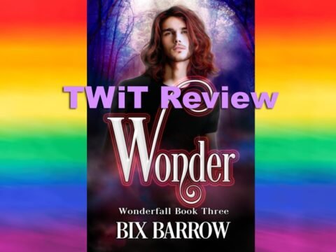 Wonder Feature Image