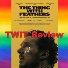 The Thing With feathers Feature Image