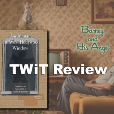 Waide Review Feature Image