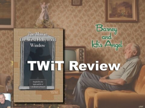 Waide Review Feature Image