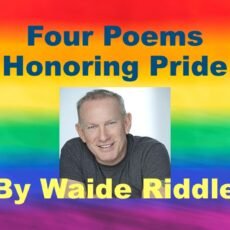 Waide Riddle Feature Image