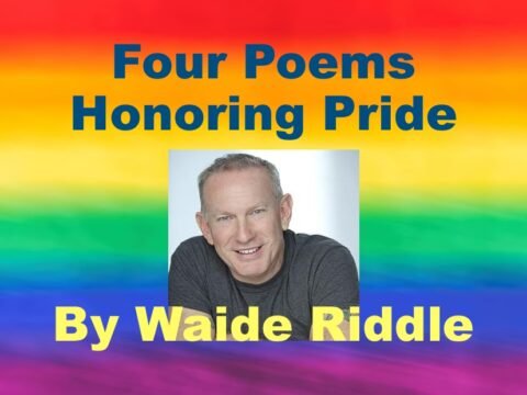 Waide Riddle Feature Image