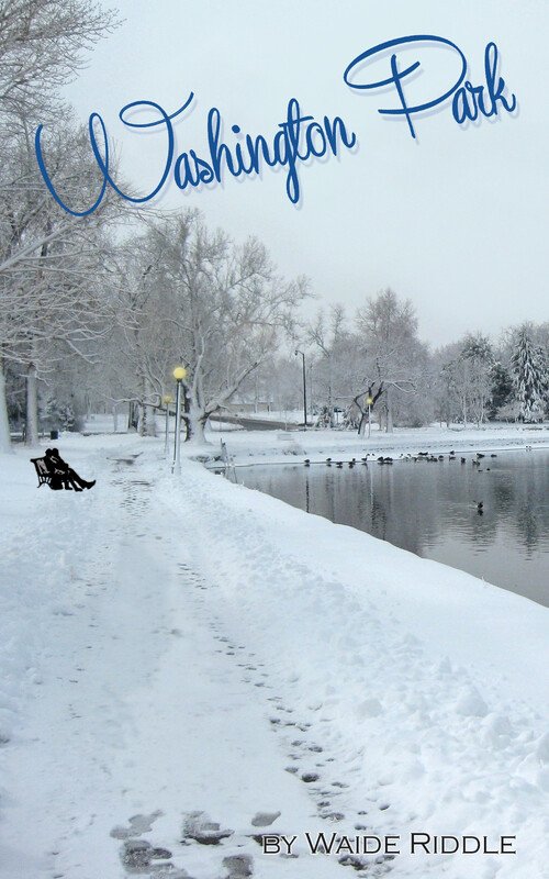 Washington Park book cover