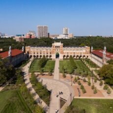 Rice Feature Image